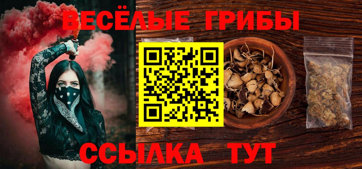 Жигулёвск  Галлюциногенные грибы мухоморы  Вход с VPN 